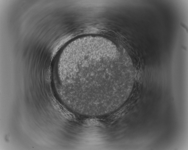 X0000103960244200810311621