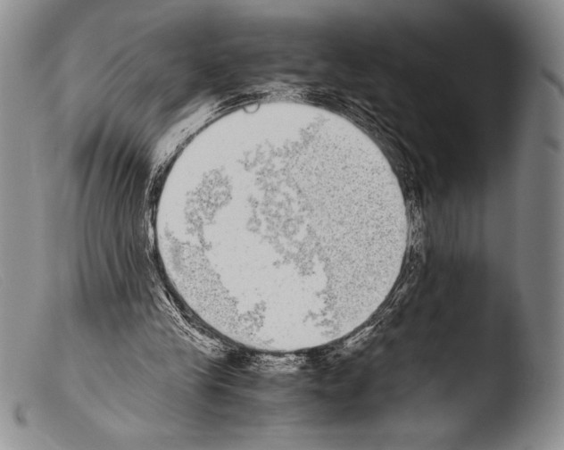 X0000103960245200810311621