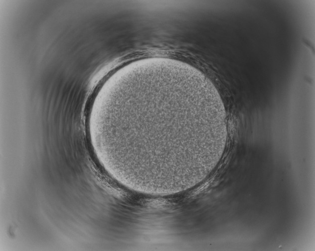 X0000103960246200810311621