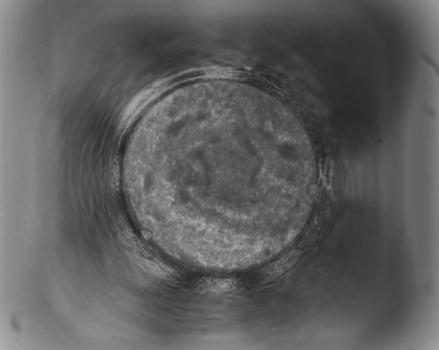 X0000103960247200810311621