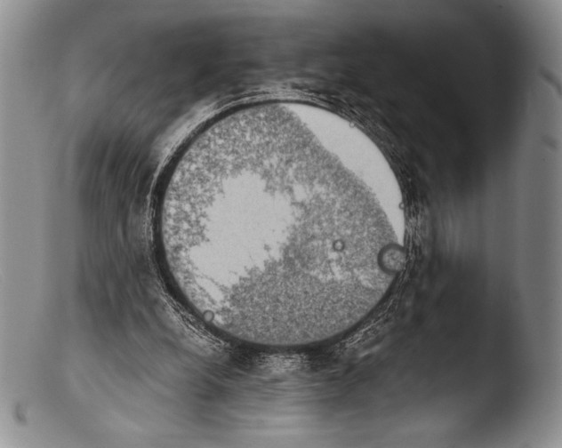 X0000103960248200810311621