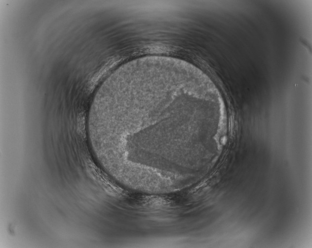 X0000103960249200810311621