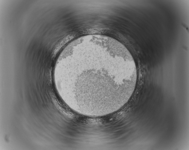 X0000103960250200810311621
