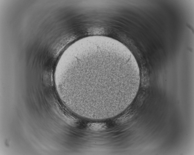 X0000103960251200810311621