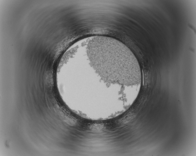 X0000103960252200810311621