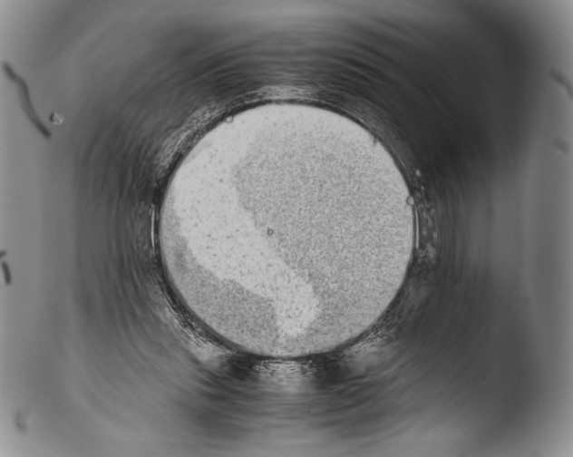 X0000103960253200810311621