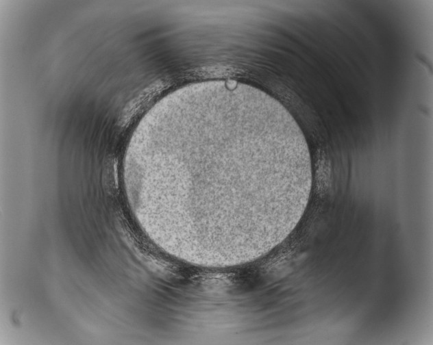 X0000103960254200810311621