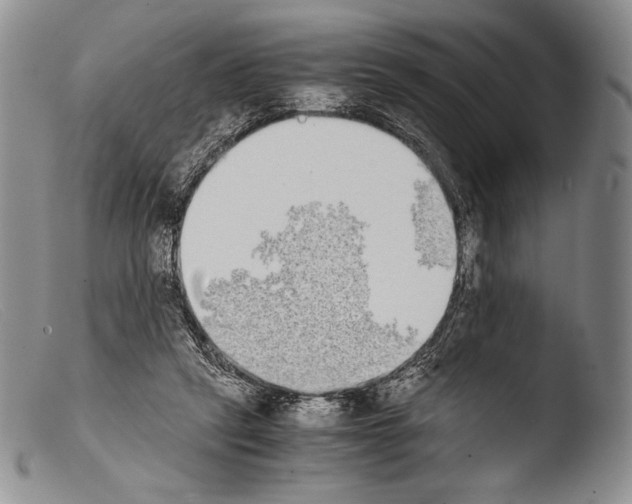 X0000103960257200810311621