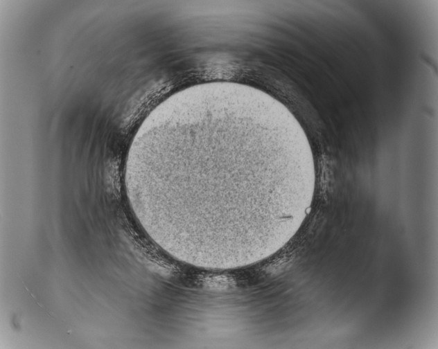 X0000103960258200810311621