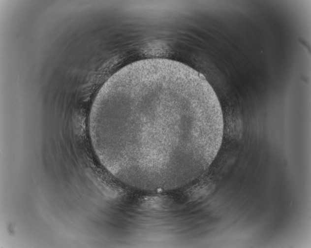 X0000103960259200810311621