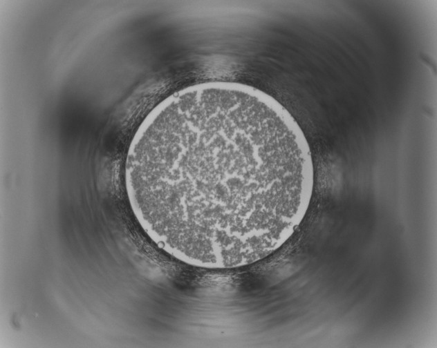 X0000103960260200810311621