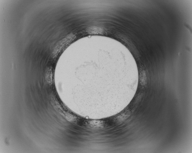 X0000103960261200810311621