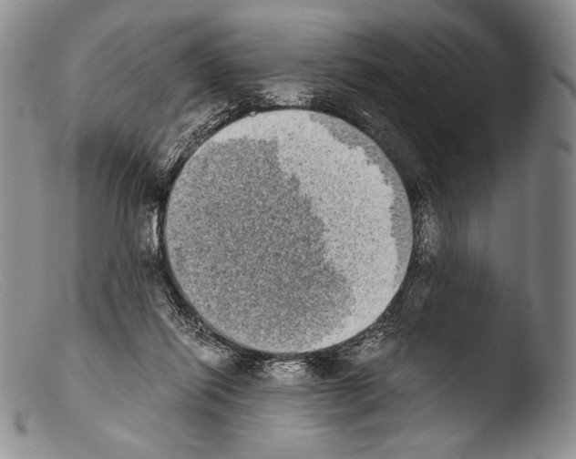 X0000103960262200810311621