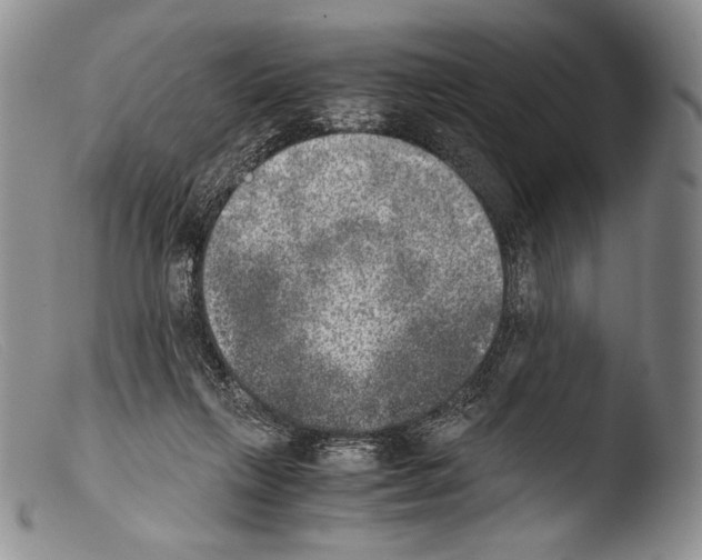 X0000103960263200810311621