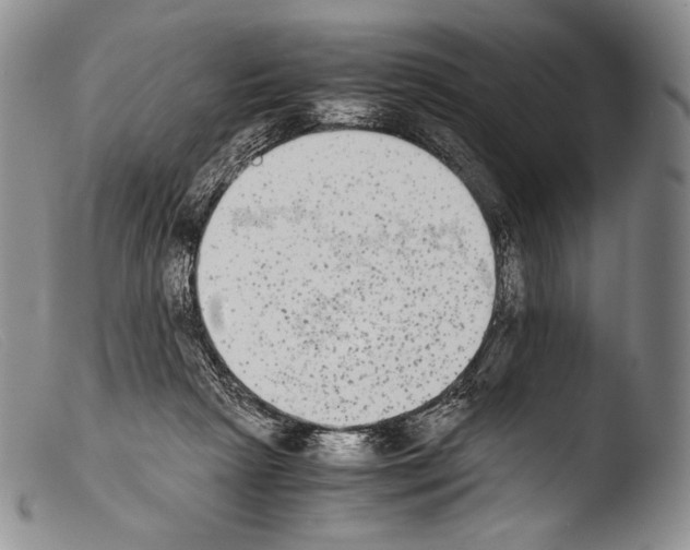 X0000103960265200810311621