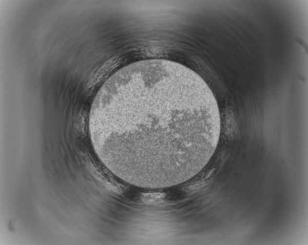 X0000103960266200810311621