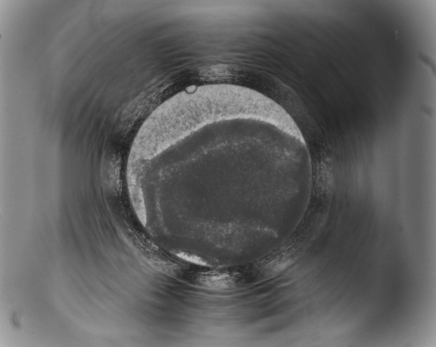X0000103960267200810311621