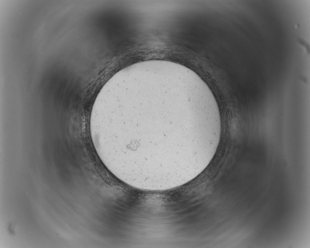 X0000103960268200810311621