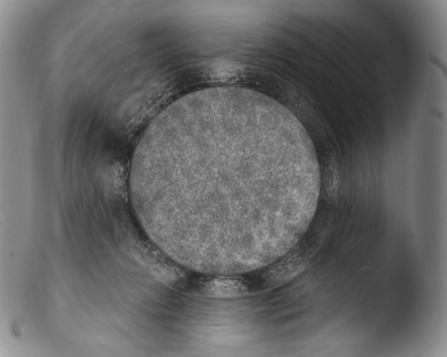 X0000103960270200810311621