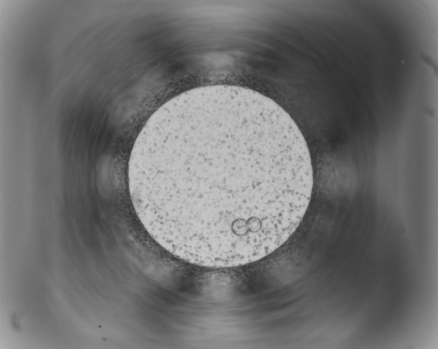 X0000103960272200810311621