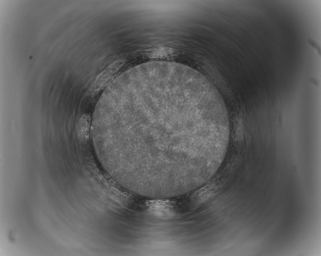 X0000103960273200810311621