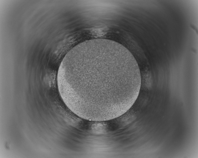 X0000103960274200810311621