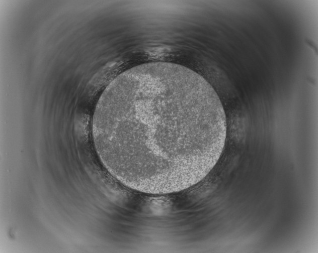 X0000103960275200810311621