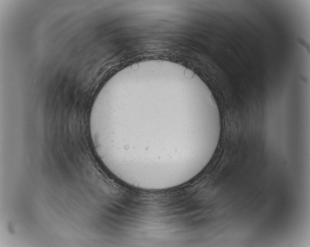 X0000103960276200810311621