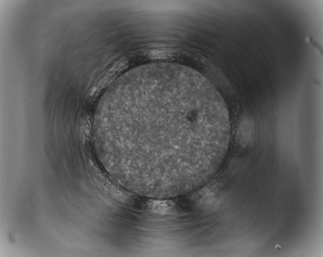 X0000103960277200810311621