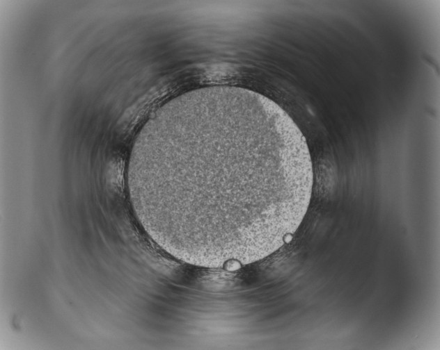 X0000103960278200810311621