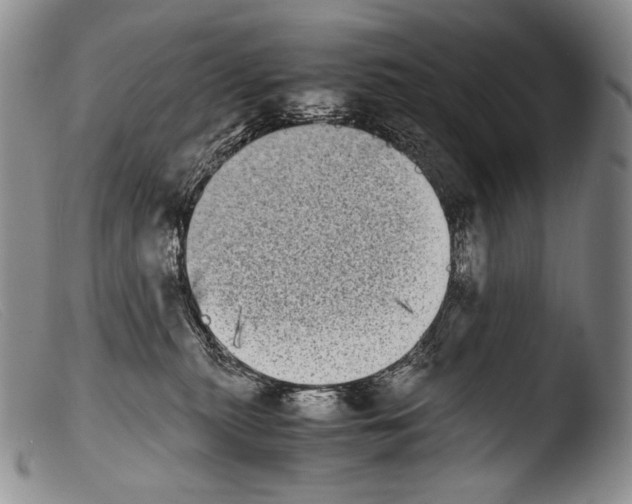 X0000103960279200810311621