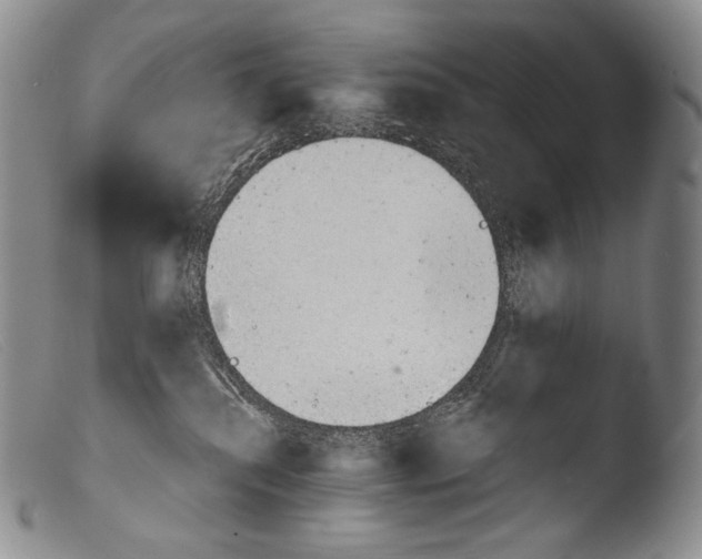X0000103960280200810311621