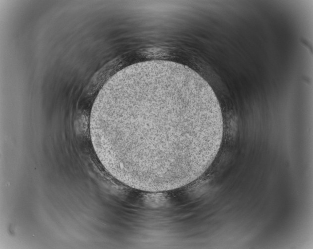 X0000103960281200810311621