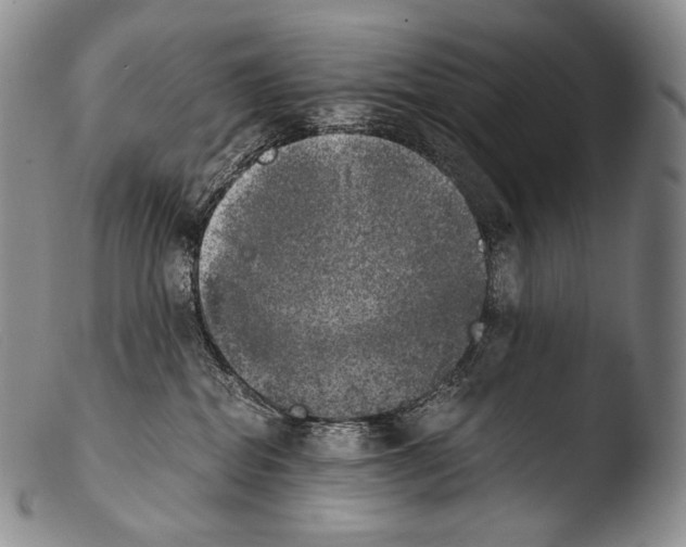 X0000103960282200810311621