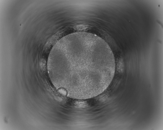X0000103960283200810311621