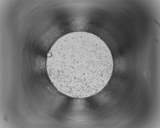 X0000103960284200810311621