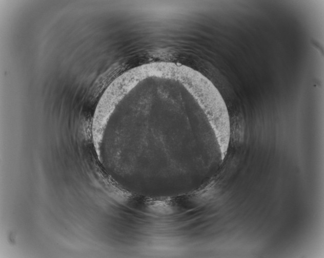 X0000103960285200810311621
