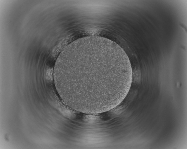 X0000103960286200810311621