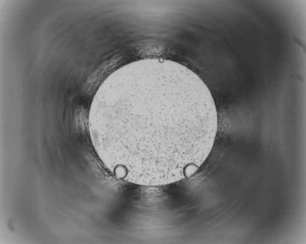 X0000103960287200810311621