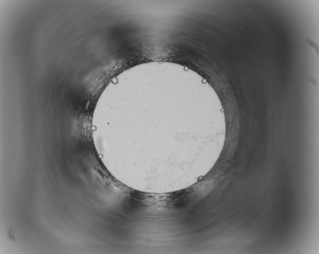 X0000103960288200810311621