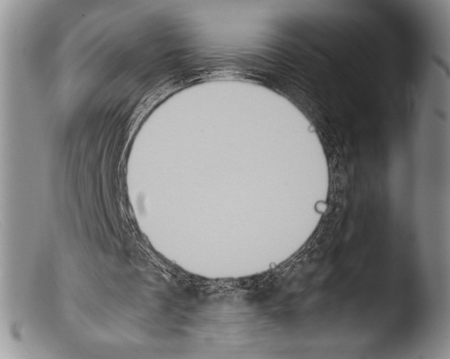 X0000103960289200810311621