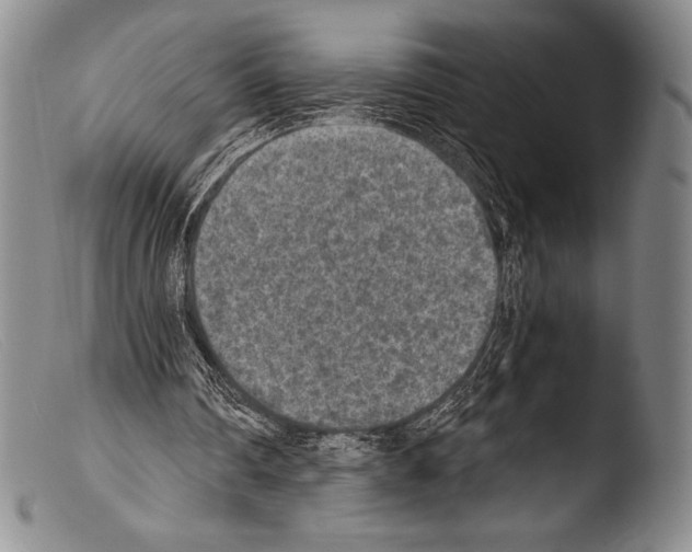 X0000103960290200810311621