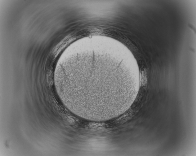 X0000103960291200810311621