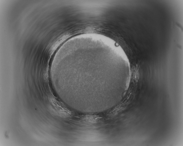X0000103960292200810311620
