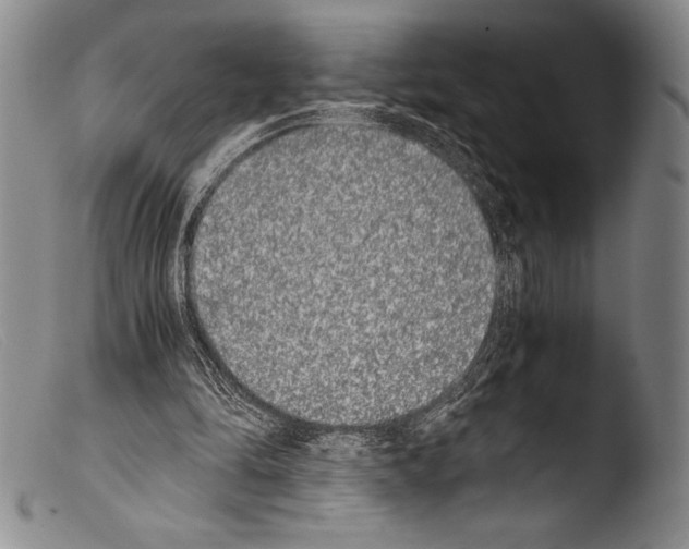 X0000103960294200810311620