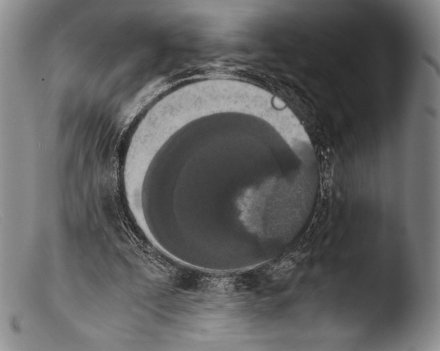 X0000103960295200810311620