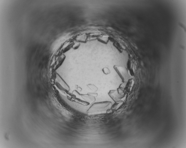 X0000103960296200810311620