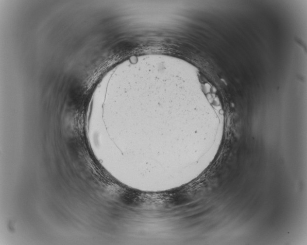 X0000103960297200810311620