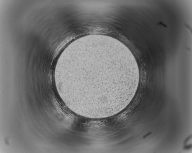 X0000103960298200810311620