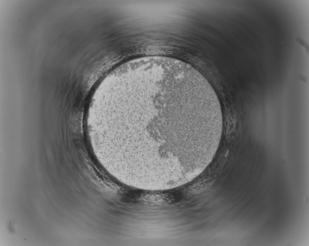X0000103960299200810311620